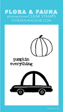 20282 Mini Pumpkin Everything