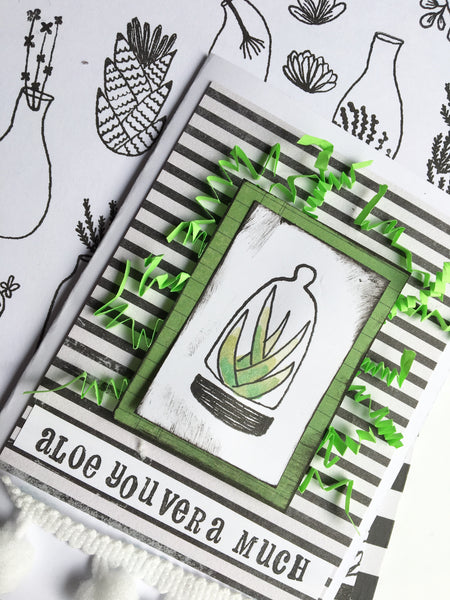 Guest Blogger: Ashley Haake