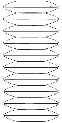 Daisy Flower (10078)