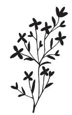 Lacey Branch (1620E)