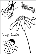 20315 Mini Bug Life