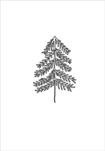 30209 Pine Tree Die