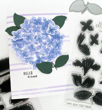 Brush Petal Hydrangea Set + Die Bundle